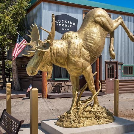 ホテル The Bucking Moose ウェスト・イエローストーン エクステリア 写真
